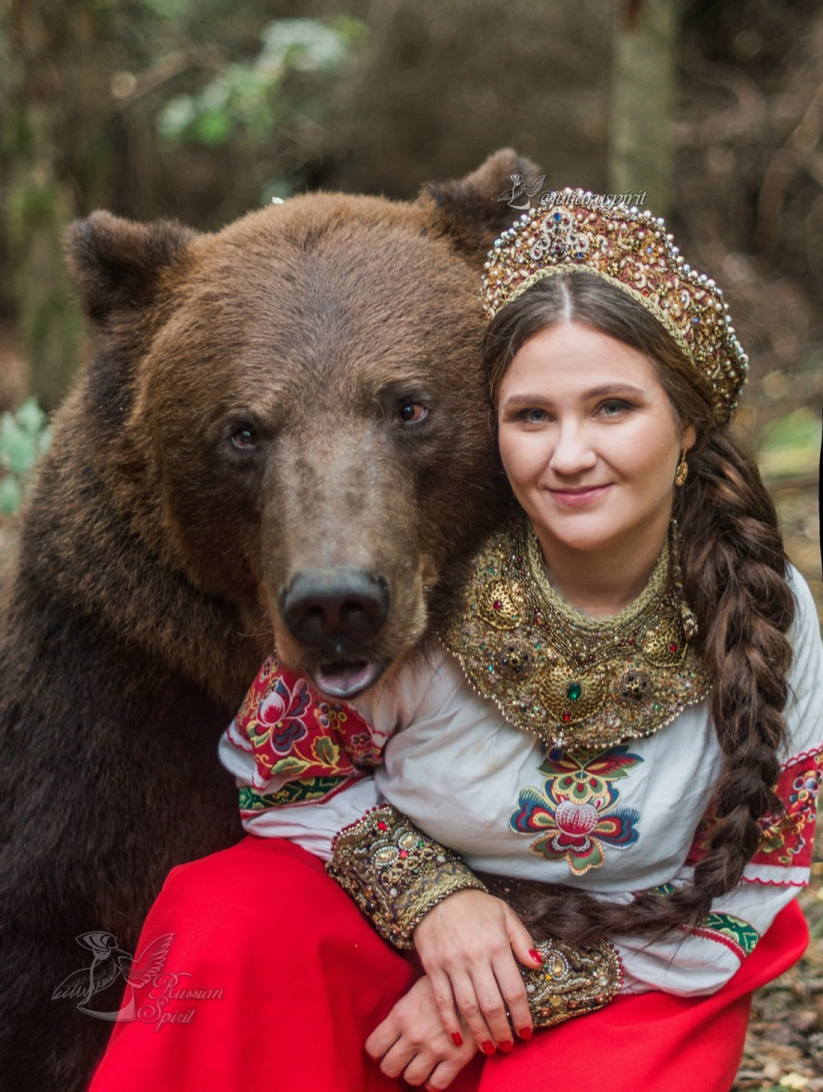 Toms russia. Где можно сфотографироваться с медведем в России. Славянские мотивы конкурс.